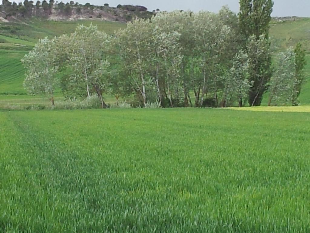 Hotel Rural San Pelayo San Pelayo  Εξωτερικό φωτογραφία