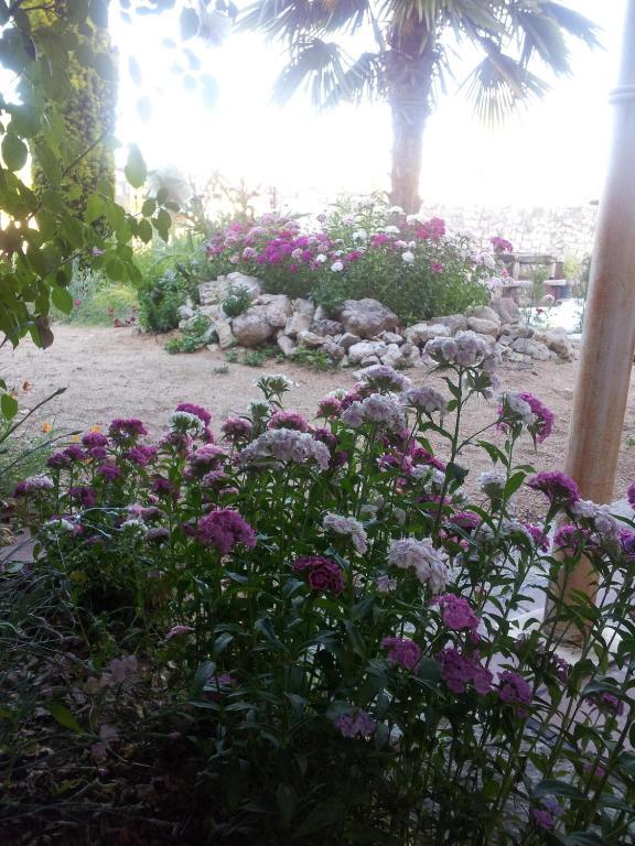 Hotel Rural San Pelayo San Pelayo  Εξωτερικό φωτογραφία